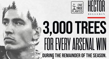 Букмекер будет сажать 6000 деревьев каждый раз, когда лондонский «Арсенал» не сможет выиграть
