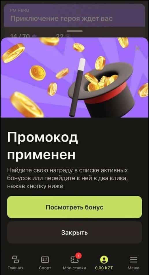 parimatch (11)