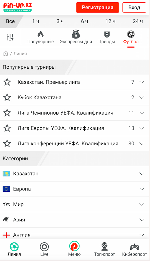 Ставки на спорт Pin-up KZ