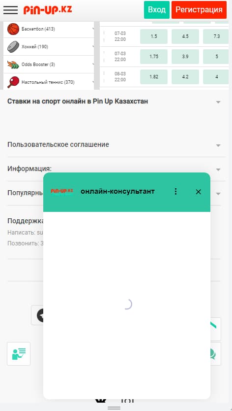 Техподдержка Pin-Up кз