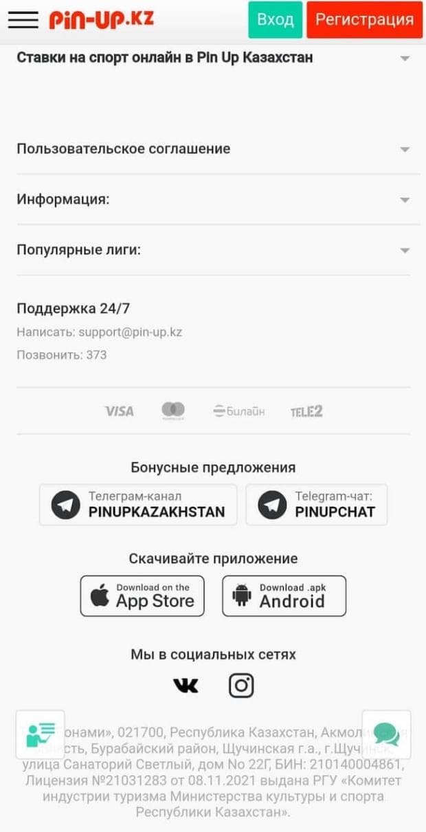 Скачать Pin up на Андройд