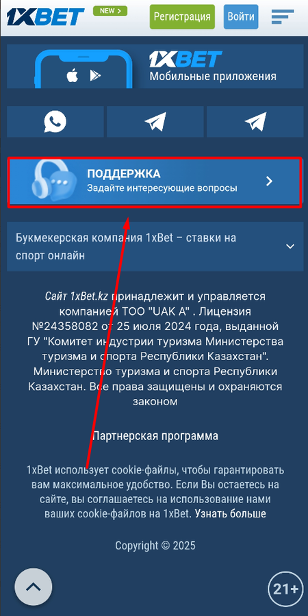 Советы по использованию бонусов на 1xBet